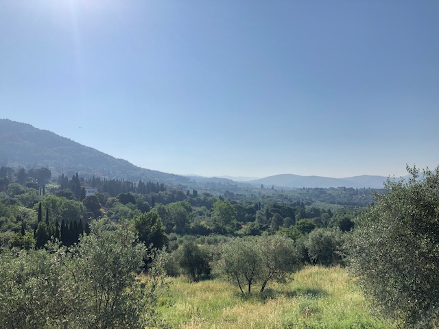 A view of the green, forested valley nearby Fiesole, in Tuscany.